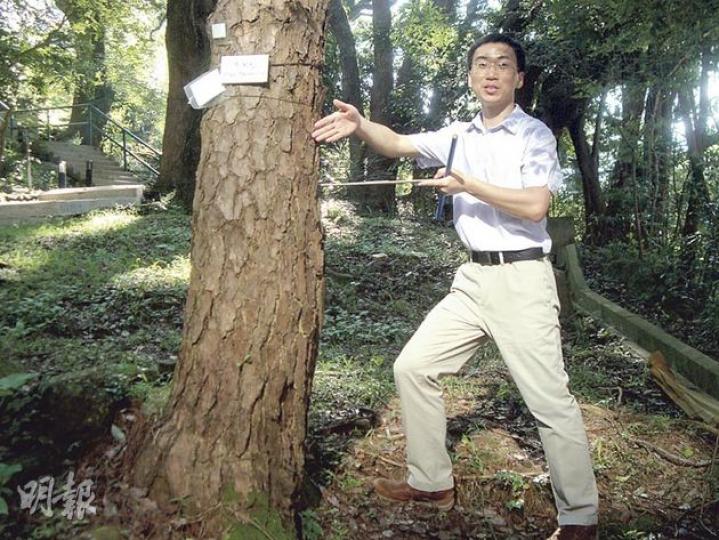港大社會科學院地理系助理教授李金豹表示,他們會利用手持的「生長錐」(圖)在全球樹本採集2200多個樣本,樹齡主要介乎500至800年,最老的古樹樣本是美國的刺果松,達4800多年,其餘樹種包括馬尾松(圖中的樹屬相同品種)、雲杉、冷杉等,以此推算過去700年厄爾尼諾現象發生的時間。(邱雅錡攝) 港大社會科學院地理系助理教授李金豹表示,他們會利用手持的「生長錐」(圖)在全球樹本採集2200多個樣本,樹齡主要介乎500至800年,最老的古樹樣本是美國的刺果松,達4800多年,其餘樹種包括馬尾松(圖中的樹屬相同品種)、雲杉、冷杉等,以此推算過去700年厄爾尼諾現象發生的時間。(邱雅錡攝)