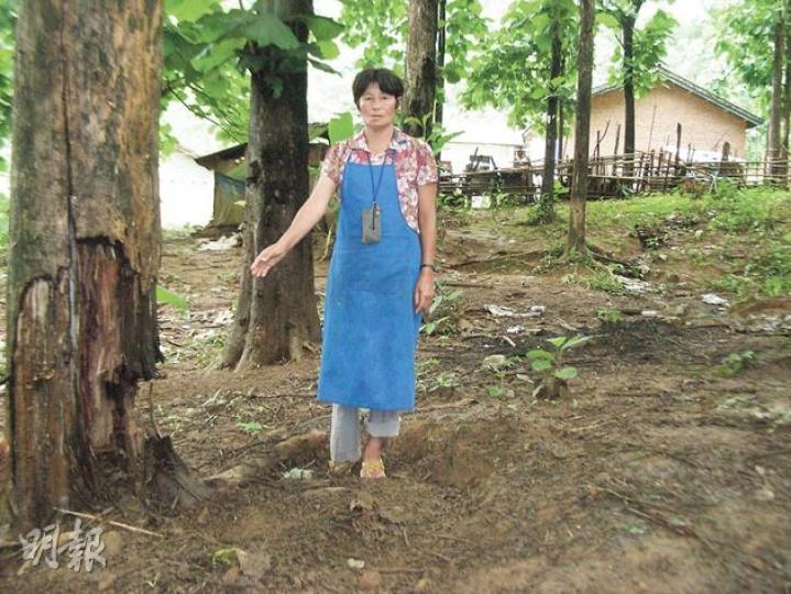王婆婆說,飛來的炮彈在她站立的位置炸出一個直徑近3米的大坑,周圍的樹木許多都被彈片擊中,後來解放軍派人填平彈坑。(明報記者攝)緬甸內戰影響一河之隔的那邦,經營邊貿生意的商人早已離開,偌大的口岸變成死城。(明報記者攝)從那邦口岸前往盈江縣城的必經之地,有荷槍實彈的武警駐紮路邊,行人和車輛都要檢查。(明報記者攝)在拉咱街頭不時可看見全副武裝的克欽軍人,他們更隨身攜帶炸彈及彈藥。(明報記者攝)那邦鎮民眾為求自保,紛在家門前掛上中國國旗,免遭緬軍誤炸。(明報記者攝) 王婆婆說,飛來的炮彈在她站立的位置炸出一個直徑近3米的大坑,周圍的樹木許多都被彈片擊中,後來解放軍派人填平彈坑。(明報記者攝)緬甸內戰影響一河之隔的那邦,經營邊貿生意的商人早已離開,偌大的口岸變成死城。(明報記者攝)從那邦口岸前往盈江縣城的必經之地,有荷槍實彈的武警駐紮路邊,行人和車輛都要檢查。(明報記者攝)在拉咱街頭不時可看見全副武裝的克欽軍人,他們更隨身攜帶炸彈及彈藥。(明報記者攝)那邦鎮民眾為求自保,紛在家門前掛上中國國旗,免遭緬軍誤炸。(明報記者攝)