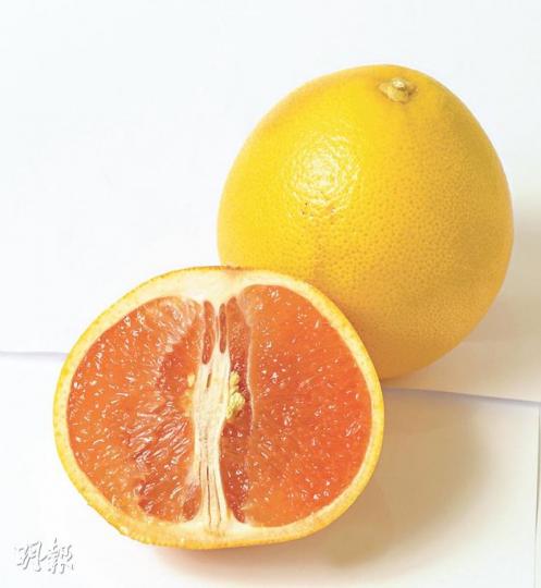南非西柚(每個$5至$7,c)(林俊源、陳淑安攝) 南非西柚(每個$5至$7,c)(林俊源、陳淑安攝)