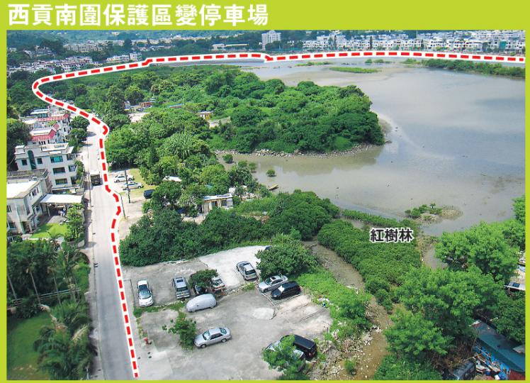 西貢南圍海岸保護區(紅線範圍),多處被人違例闢作停車場,跟紅樹林和白鷺棲息地(右面的泥灘),僅咫尺之距。規劃署表示,將會向佔用人作出管制。 (明報記者攝)西貢南圍保護區有茂盛紅樹林,現場可見不少白鷺鳥四處覓食。對岸(圖後方)為豪宅匡湖居。(明報記者攝) 西貢南圍海岸保護區(紅線範圍),多處被人違例闢作停車場,跟紅樹林和白鷺棲息地(右面的泥灘),僅咫尺之距。規劃署表示,將會向佔用人作出管制。 (明報記者攝)西貢南圍保護區有茂盛紅樹林,現場可見不少白鷺鳥四處覓食。對岸(圖後方)為豪宅匡湖居。(明報記者攝)