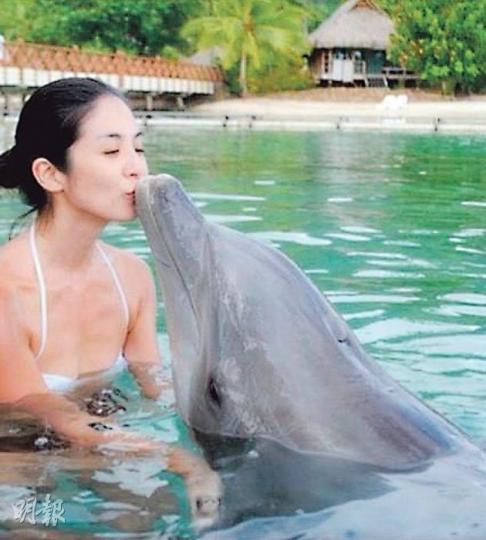 楊采妮最開心是潛水時見到海豚。(微博圖片)賀軍翔愛上潛水,還將照片放上微博引死一眾女粉絲。(微博圖片)方中信是海洋擁護者。(微博圖片)呂頌賢熱愛潛水,很早已取得潛水牌。(微博圖片) 楊采妮最開心是潛水時見到海豚。(微博圖片)賀軍翔愛上潛水,還將照片放上微博引死一眾女粉絲。(微博圖片)方中信是海洋擁護者。(微博圖片)呂頌賢熱愛潛水,很早已取得潛水牌。(微博圖片)
