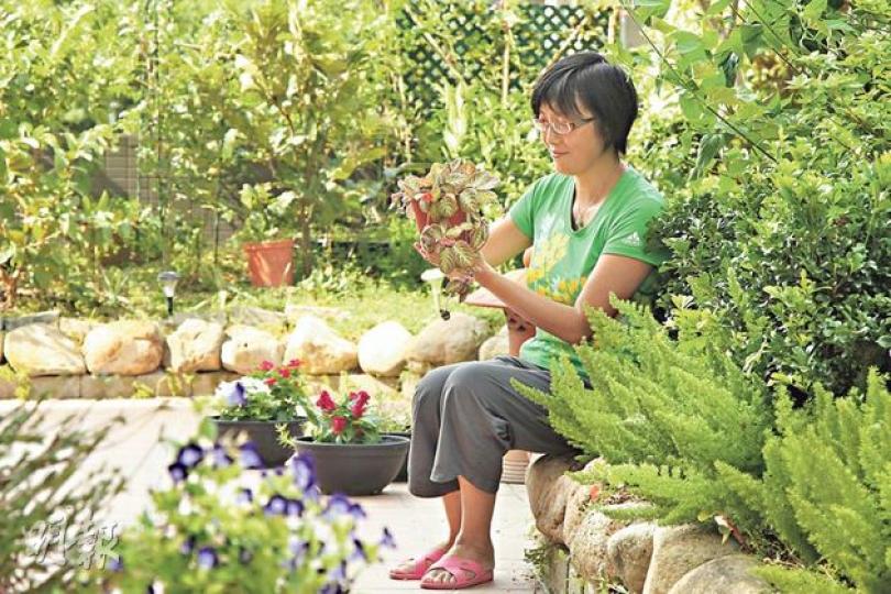 Dilys每星期花許多時間打理花園,但樂在其中,希望退休後將花園變成自然教室,教導小朋友自然生態知識。(林俊源攝)2300呎的花園人人羨慕,在花園中喝茶看書,欣賞四時植物的變化,生活愜意。(林俊源攝)Dilys的理想花園會帶給人快樂,四季分明。(林俊源攝)Dilys最愛的多肉植物之一,日照不需太多,葉片容易變成黑色,猶如一朵黑色的花。(林俊源攝)實驗種植:沖繩苦瓜-除了觀賞性植物,Dilys也愛種瓜果,圖為沖繩苦瓜,生吃最甘甜,可切片拌沙律或攪成苦瓜汁。(林俊源攝)多肉植物區-在網上看到別人的多 Dilys每星期花許多時間打理花園,但樂在其中,希望退休後將花園變成自然教室,教導小朋友自然生態知識。(林俊源攝)2300呎的花園人人羨慕,在花園中喝茶看書,欣賞四時植物的變化,生活愜意。(林俊源攝)Dilys的理想花園會帶給人快樂,四季分明。(林俊源攝)Dilys最愛的多肉植物之一,日照不需太多,葉片容易變成黑色,猶如一朵黑色的花。(林俊源攝)實驗種植:沖繩苦瓜-除了觀賞性植物,Dilys也愛種瓜果,圖為沖繩苦瓜,生吃最甘甜,可切片拌沙律或攪成苦瓜汁。(林俊源攝)多肉植物區-在網上看到別人的多