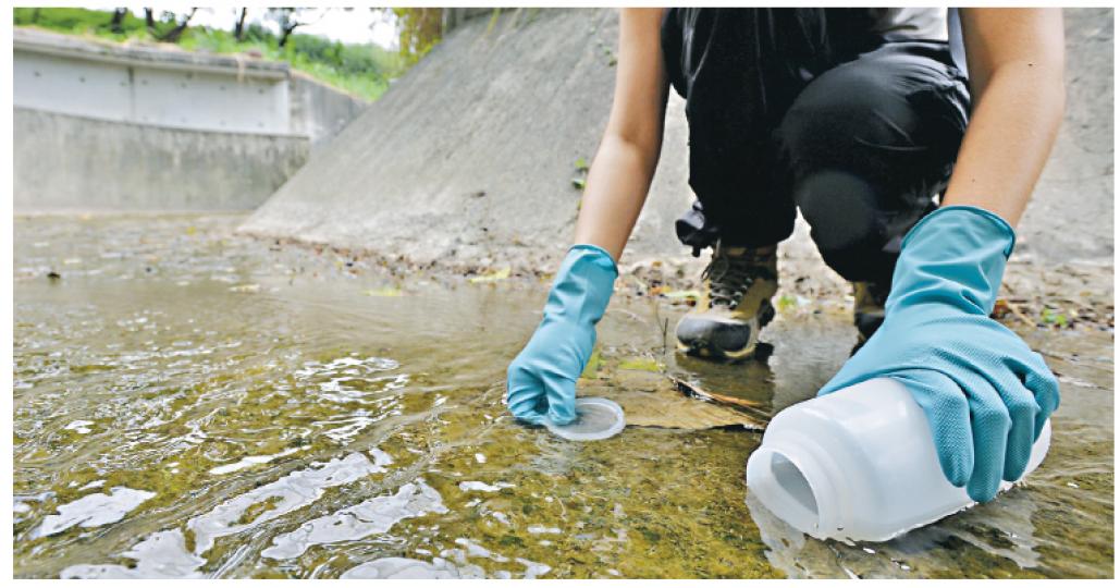 記者於污水池對出的缸窰河道(地點1),抽取河水樣本化驗,與環保署地面水質監察站的抽水位置接近。最後結果顯示缸窰河仍受污染,專家估計,源頭來自堆填區的污水。(盧翊銘攝) 記者於污水池對出的缸窰河道(地點1),抽取河水樣本化驗,與環保署地面水質監察站的抽水位置接近。最後結果顯示缸窰河仍受污染,專家估計,源頭來自堆填區的污水。(盧翊銘攝)