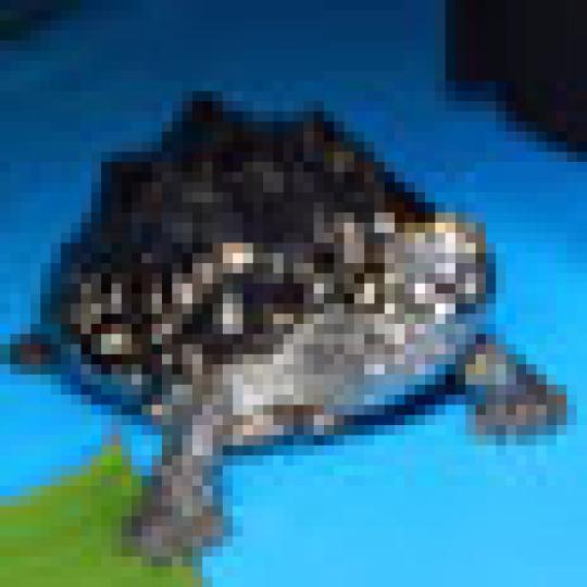 0bbac39c9964295834f0d28fbf31bb58