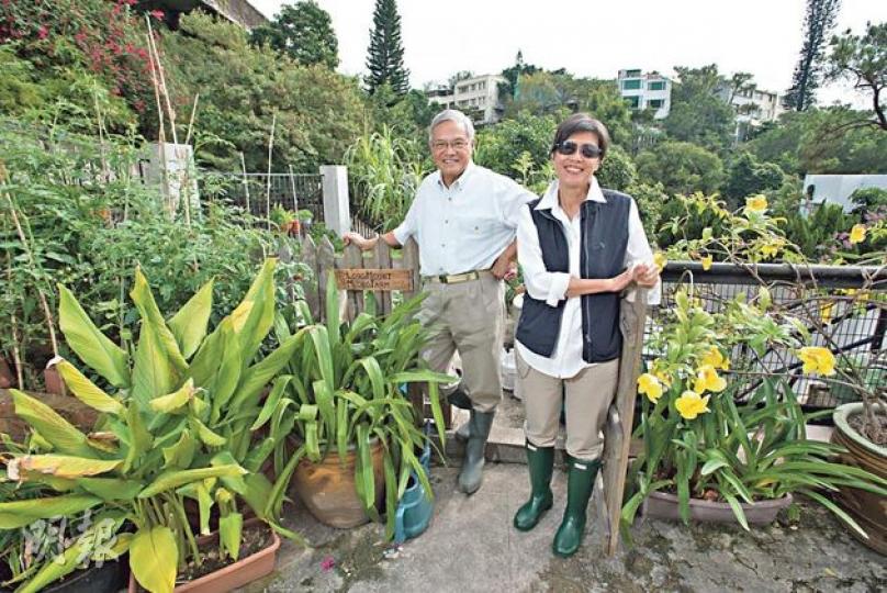 Arthur與陳燕的小菜田設在路邊,示範了如何在城市自耕自吃。(黃志東攝)小菜田種有多款香草和蔬菜,是他們的Kitchen Garden。(黃志東攝)可愛的豚鼠是自來的禮物,某天傭人在田裏發現牠,當時豚鼠頭髮長長,Arthur和陳燕不知牠是什麼東東,剪了短髮後才看清牠的可愛模樣。Arthur笑言牠來對了地方,因牠最愛吃蔬菜。(黃志東攝)Arthur第三本著作,分享數十年種植經驗,更附有食譜。(黃志東攝)(明報製圖)(明報製圖)(明報製圖) Arthur與陳燕的小菜田設在路邊,示範了如何在城市自耕自吃。(黃志東攝)小菜田種有多款香草和蔬菜,是他們的Kitchen Garden。(黃志東攝)可愛的豚鼠是自來的禮物,某天傭人在田裏發現牠,當時豚鼠頭髮長長,Arthur和陳燕不知牠是什麼東東,剪了短髮後才看清牠的可愛模樣。Arthur笑言牠來對了地方,因牠最愛吃蔬菜。(黃志東攝)Arthur第三本著作,分享數十年種植經驗,更附有食譜。(黃志東攝)(明報製圖)(明報製圖)(明報製圖)