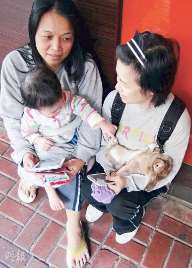 6樓住客莫女士(右)約2歲女兒交外傭(左)抱着,自己再抱着侏儒兔Gingu,三人一兔一起走火。疏散到街上後,莫女士拿出平板電腦予女兒玩以「定驚」,女童既玩電腦,又不時與兔兔玩耍解悶。(林智傑攝) 6樓住客莫女士(右)約2歲女兒交外傭(左)抱着,自己再抱着侏儒兔Gingu,三人一兔一起走火。疏散到街上後,莫女士拿出平板電腦予女兒玩以「定驚」,女童既玩電腦,又不時與兔兔玩耍解悶。(林智傑攝)