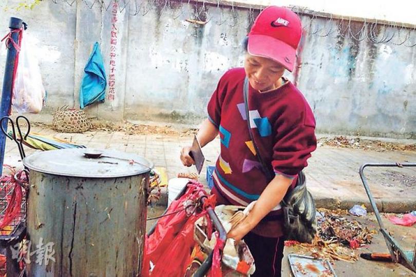 記者昨往深圳布吉其中一個菜市場「鐵路市場」查看,有地攤女雞販徒手宰家禽,未戴手套和口罩,她將家禽放血後,放入左邊大鍋的熱水去毛。 (葉家豪攝) 記者昨往深圳布吉其中一個菜市場「鐵路市場」查看,有地攤女雞販徒手宰家禽,未戴手套和口罩,她將家禽放血後,放入左邊大鍋的熱水去毛。 (葉家豪攝)
