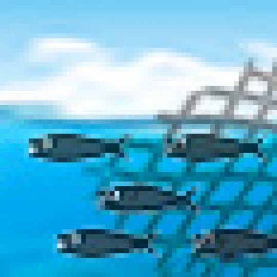 0e364324e34bb86a060e4bbfef6e2415