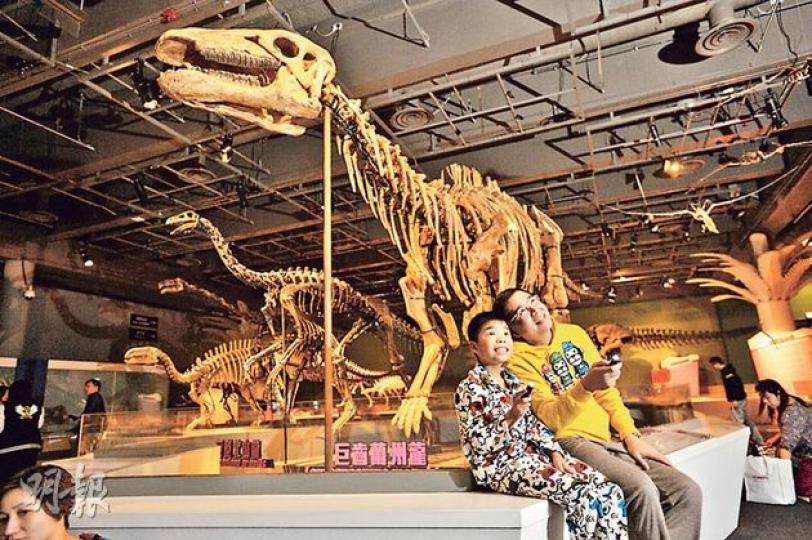科學館「巨龍傳奇」展覽前晚推出「恐龍夜派對」親子活動,首場參加者之一的張先生(右),入夜後與穿上睡衣的兒子(左)使用大會派發的電筒觀察四周,在館內眾多恐龍骨架模型下一嘗「與龍同眠」的滋味。(鄧宗弘攝) 科學館「巨龍傳奇」展覽前晚推出「恐龍夜派對」親子活動,首場參加者之一的張先生(右),入夜後與穿上睡衣的兒子(左)使用大會派發的電筒觀察四周,在館內眾多恐龍骨架模型下一嘗「與龍同眠」的滋味。(鄧宗弘攝)