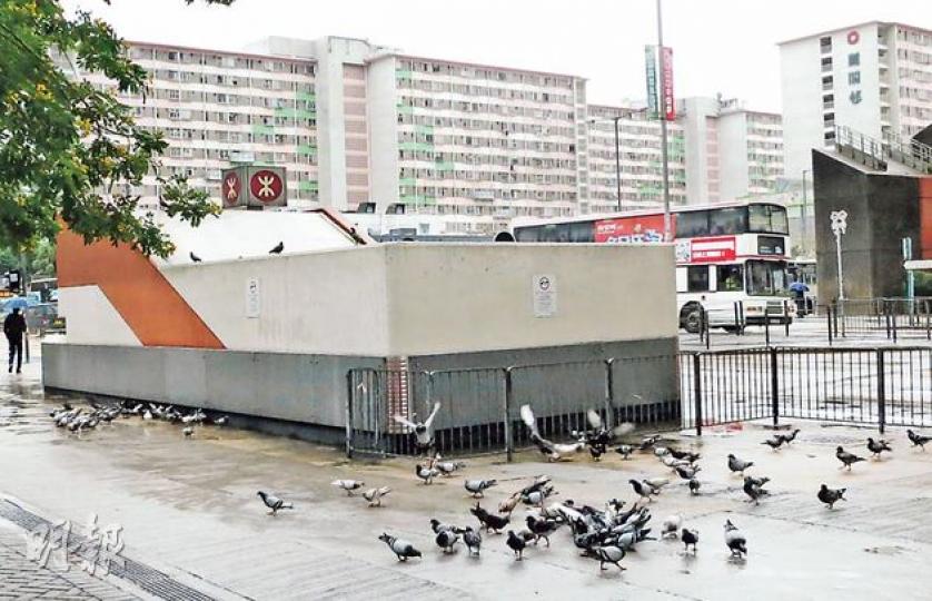 記者本月中曾到長沙灣港鐵站觀察,雖然衛生情况沒有今年中般惡劣,但仍有人餵鴿。野鴿不單聚集港鐵站出口頂部,更在行人道上覓食。(黃熙麗攝)長沙灣東京街一帶,因有人餵鴿,引來野鴿聚集,連街燈上都是鳥糞。路政署及運輸署表示,已聯絡承建商及相關部門盡快清潔。(李紹昌攝) 記者本月中曾到長沙灣港鐵站觀察,雖然衛生情况沒有今年中般惡劣,但仍有人餵鴿。野鴿不單聚集港鐵站出口頂部,更在行人道上覓食。(黃熙麗攝)長沙灣東京街一帶,因有人餵鴿,引來野鴿聚集,連街燈上都是鳥糞。路政署及運輸署表示,已聯絡承建商及相關部門盡快清潔。(李紹昌攝)