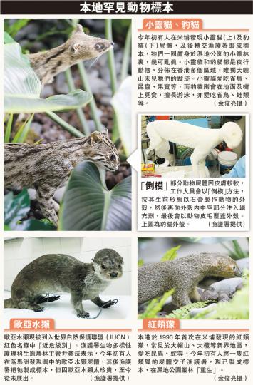(明報製圖) (明報製圖)