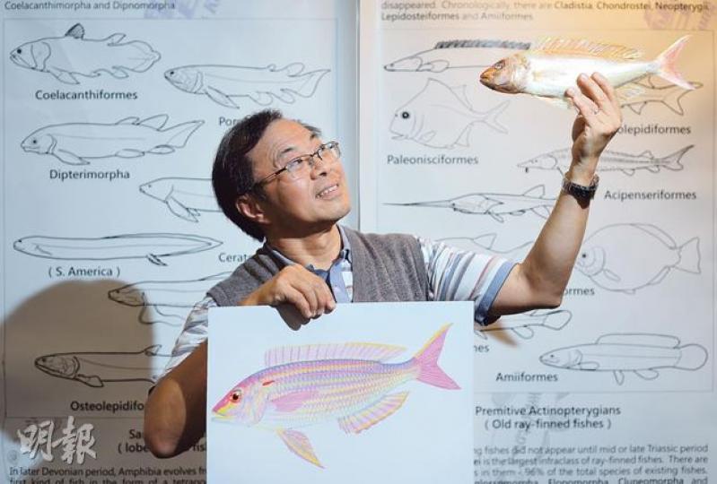 繪魚達人尤炳軒,圖下為紅衫魚(盧翊銘攝)香港魚類學會會長莊棣華(盧翊銘攝)《香港海水魚的故事》(盧翊銘攝) 繪魚達人尤炳軒,圖下為紅衫魚(盧翊銘攝)香港魚類學會會長莊棣華(盧翊銘攝)《香港海水魚的故事》(盧翊銘攝)