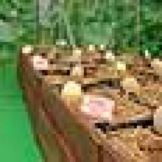 0dd297d9ff842f56f6a91bddcc4b3ce6