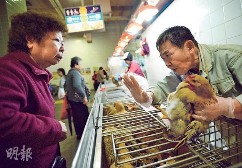 本港前日確診65歲男子患H7N9,食環署昨到他住所附近的北河街街市,於5個雞檔抽取10個環境樣本化驗,結果全部呈陰性。有街市內的檔主制止客人觸摸活雞。(盧翊銘攝) 本港前日確診65歲男子患H7N9,食環署昨到他住所附近的北河街街市,於5個雞檔抽取10個環境樣本化驗,結果全部呈陰性。有街市內的檔主制止客人觸摸活雞。(盧翊銘攝)