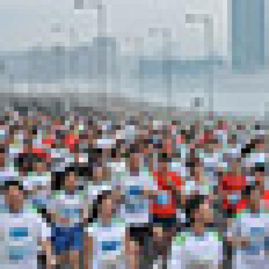 1d924866d6702416e28606454195ca4d