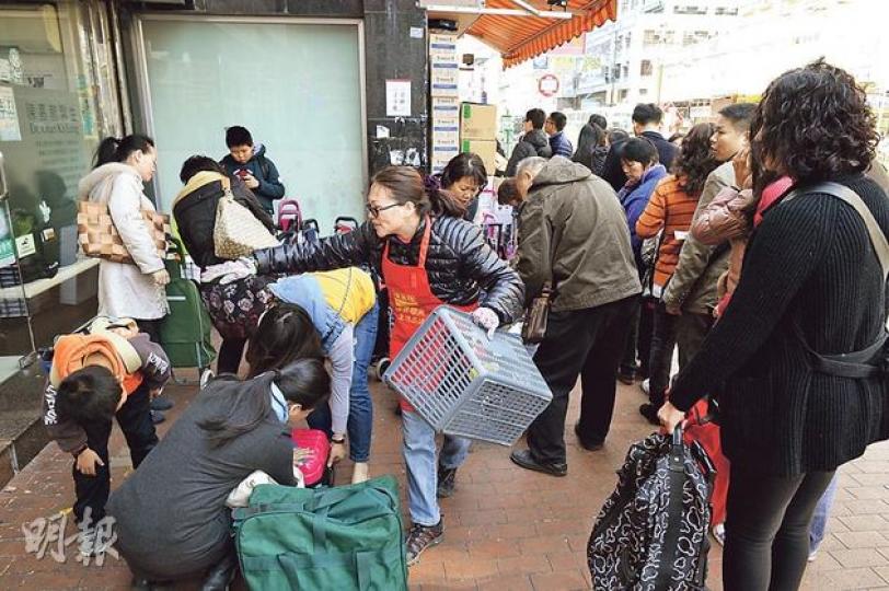 不少內地客「血拼」後會在價真棧門外整理貨品,逾20架手拉車阻塞行人路。(葉家豪攝)位於元朗大馬路的「價真棧」近日常有逾30人在門外排隊等候入內購物,店員要圍索帶及派籌維持秩序。(葉家豪攝)內地客:定再來 - 居於深圳的劉太專程來港辦年貨,花逾3000元購買多盒朱古力及曲奇禮盒,她認為港貨品質較有保證,而來港購物來回車程不用1小時,稱必定再來。(葉家豪攝)元朗街坊:很滋擾 - 居於元朗的倪婆婆表示,今年才見有這麼多內地人來元朗辦年貨,認為十分滋擾,令她連買日用品也不方便。(葉家豪攝) 不少內地客「血拼」後會在價真棧門外整理貨品,逾20架手拉車阻塞行人路。(葉家豪攝)位於元朗大馬路的「價真棧」近日常有逾30人在門外排隊等候入內購物,店員要圍索帶及派籌維持秩序。(葉家豪攝)內地客:定再來 - 居於深圳的劉太專程來港辦年貨,花逾3000元購買多盒朱古力及曲奇禮盒,她認為港貨品質較有保證,而來港購物來回車程不用1小時,稱必定再來。(葉家豪攝)元朗街坊:很滋擾 - 居於元朗的倪婆婆表示,今年才見有這麼多內地人來元朗辦年貨,認為十分滋擾,令她連買日用品也不方便。(葉家豪攝)