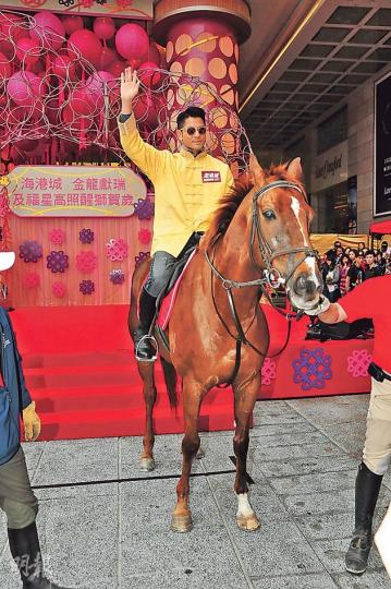 城城穿上賀年裝兼親自騎馬進場，威風凜凜。（攝影﹕梁迺楠）城城攬完財神風騷起飛腳。（攝影﹕梁迺楠）
