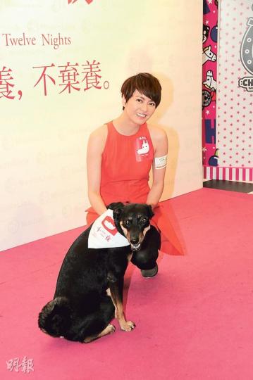 梁詠琪領養愛犬Luna，愛心爆棚。（攝影/記者：梁榮達）