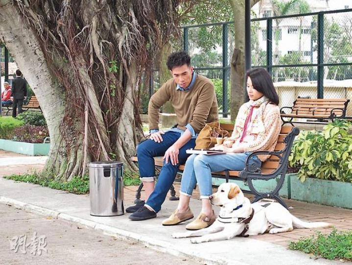 陳豪與胡杏兒合作新劇,陳豪甜笑爆開工時常收到太太傳囝囝的照片以解掛念。(攝影/記者:林蘊兒) 新劇飾演失明人士的胡杏兒手拖導盲犬漫步,大讚狗隻懂人性,很容易適應演出。(攝影/記者:林蘊兒) 陳豪與胡杏兒合作新劇,陳豪甜笑爆開工時常收到太太傳囝囝的照片以解掛念。(攝影/記者:林蘊兒) 新劇飾演失明人士的胡杏兒手拖導盲犬漫步,大讚狗隻懂人性,很容易適應演出。(攝影/記者:林蘊兒)
