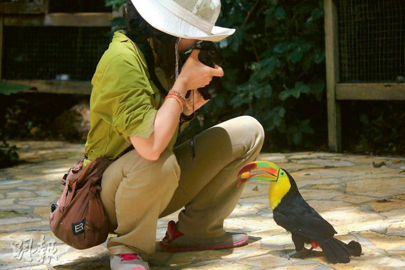Macaw Mountain Bird Park裏的活潑大嘴鳥。朋友拍照時,牠似是回應鏡頭地含着果子,還跟着我們走。(李碧君攝)沿着Lago de Yojoa湖邊觀看雀鳥,由於怕驚動牠們,我們透過望遠鏡及長鏡頭來觀看。(李碧君攝)(李碧君攝)Copán人物雕塑的面容。細看輪廓,竟跟我們相差無幾,因為其祖宗來自蒙古。(李碧君攝)潛水學校一隅。早上在海邊準備裝置,等待下水;晚上則是乘涼好地方。(李碧君攝)Copán的祭祀神廟之一。馬雅文明遺蹟,神廟對出的都是廣場,以舉行祭祀活動。在發現馬雅遺蹟時,不 Macaw Mountain Bird Park裏的活潑大嘴鳥。朋友拍照時,牠似是回應鏡頭地含着果子,還跟着我們走。(李碧君攝)沿着Lago de Yojoa湖邊觀看雀鳥,由於怕驚動牠們,我們透過望遠鏡及長鏡頭來觀看。(李碧君攝)(李碧君攝)Copán人物雕塑的面容。細看輪廓,竟跟我們相差無幾,因為其祖宗來自蒙古。(李碧君攝)潛水學校一隅。早上在海邊準備裝置,等待下水;晚上則是乘涼好地方。(李碧君攝)Copán的祭祀神廟之一。馬雅文明遺蹟,神廟對出的都是廣場,以舉行祭祀活動。在發現馬雅遺蹟時,不