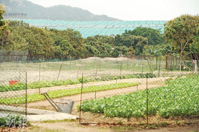 下白泥村村長鄭偉君表示,下白泥遭多項厭惡設施如堆填區(圖後方綠色設施)及污泥焚化爐包圍,認為不宜將龍鼓灘填海區規劃為住宅區,擔心只會加劇空氣及交通問題。(胡景禧攝)下白泥蠅患嚴重,政府認為無證據證明與堆填區運作有關,但村民擔心,擴建堆填區會令情况惡化,認為該區不宜再闢地興建住宅。(胡景禧攝) 下白泥村村長鄭偉君表示,下白泥遭多項厭惡設施如堆填區(圖後方綠色設施)及污泥焚化爐包圍,認為不宜將龍鼓灘填海區規劃為住宅區,擔心只會加劇空氣及交通問題。(胡景禧攝)下白泥蠅患嚴重,政府認為無證據證明與堆填區運作有關,但村民擔心,擴建堆填區會令情况惡化,認為該區不宜再闢地興建住宅。(胡景禧攝)