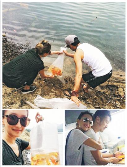 霆鋒與婷婷兄妹一起攜手祈願本是美事,不過卻選錯地點放生。(微博圖片)網民表達意見,鬧謝氏兄妹欠常識。(微博圖片) 霆鋒與婷婷兄妹一起攜手祈願本是美事,不過卻選錯地點放生。(微博圖片)網民表達意見,鬧謝氏兄妹欠常識。(微博圖片)