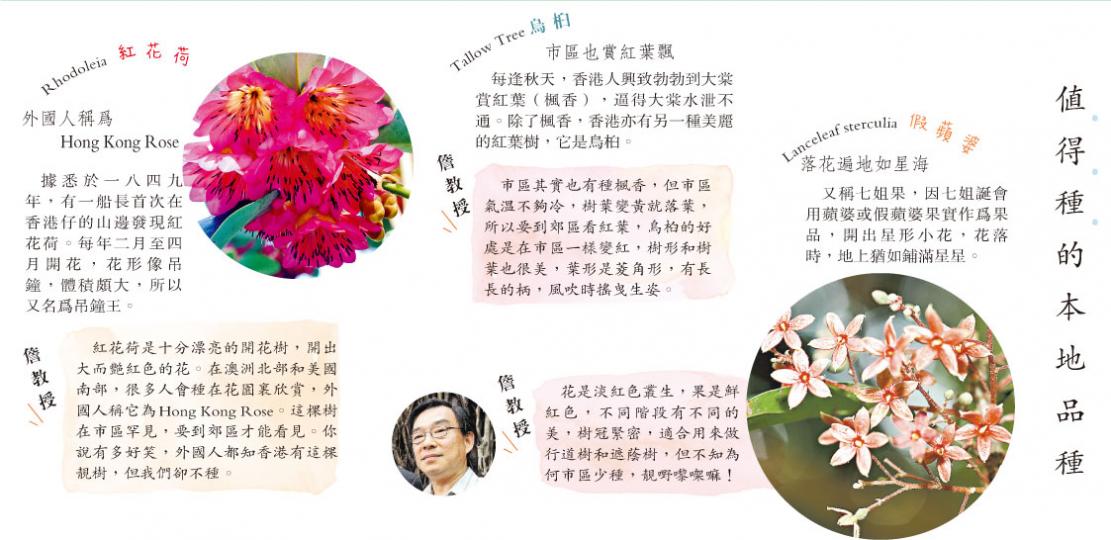 (明報製圖)(明報製圖)(明報製圖) (明報製圖)(明報製圖)(明報製圖)