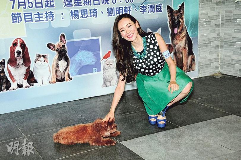 楊思琦是愛犬之人，昨日在活動上示範訓練狗狗。（攝影/記者﹕梁榮達）