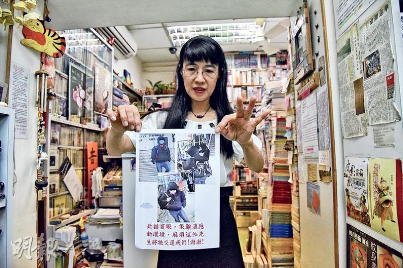 北角森記圖書公司東主陳琁表示,擔心福仔膽小不適應新環境,希望對方還貓,並製作告示向對方呼籲。(林智傑攝) 北角森記圖書公司東主陳琁表示,擔心福仔膽小不適應新環境,希望對方還貓,並製作告示向對方呼籲。(林智傑攝)