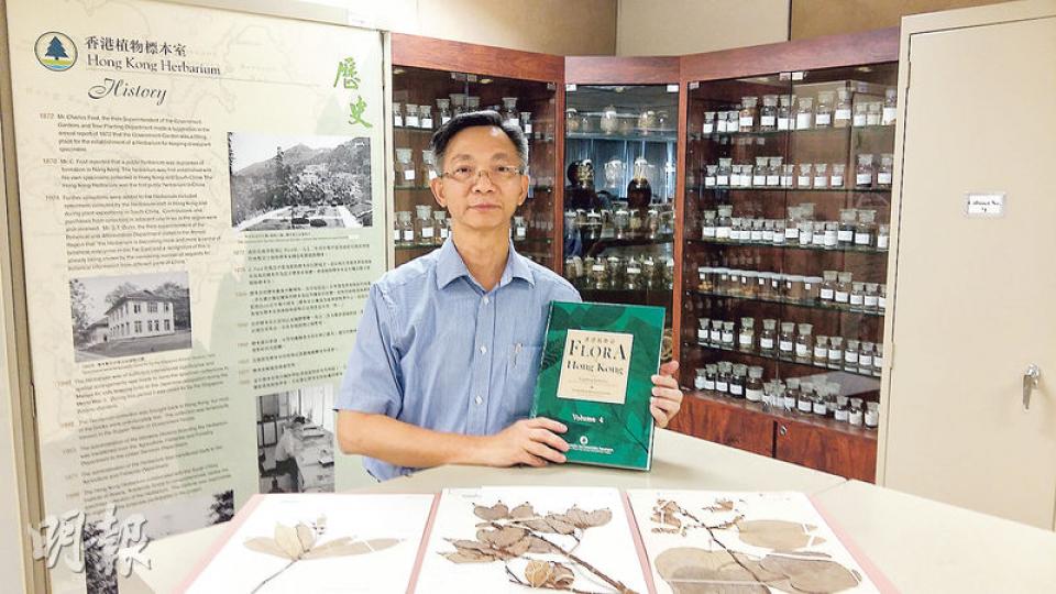 彭權森說到他「植物人」生涯最難忘的事,就是參與編著其手上的《香港植物誌》。(鄧力行攝) 彭權森說到他「植物人」生涯最難忘的事,就是參與編著其手上的《香港植物誌》。(鄧力行攝)