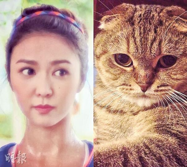 薛凱琪與「波兒」是否好似樣?(微博圖片)Fiona執「暖暖」及「Tissue」回家後,每日都用針筒餵奶,讓牠們能吃飽強壯一些,圖為「暖暖」。(微博圖片)Tissue患先天性心臟病,所以體質較弱,也常住醫院,最後薛凱琪只能忍着淚說再見,希望以後天國重聚。(微博圖片) 薛凱琪與「波兒」是否好似樣?(微博圖片)Fiona執「暖暖」及「Tissue」回家後,每日都用針筒餵奶,讓牠們能吃飽強壯一些,圖為「暖暖」。(微博圖片)Tissue患先天性心臟病,所以體質較弱,也常住醫院,最後薛凱琪只能忍着淚說再見,希望以後天國重聚。(微博圖片)