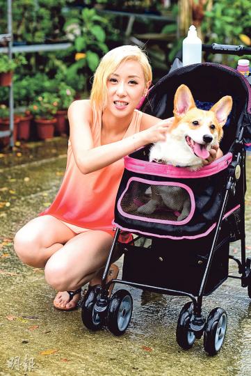 泳兒平日帶辣妹出街,都會為愛犬準備私人「座駕」。(攝影:梁迺楠) 泳兒平日帶辣妹出街,都會為愛犬準備私人「座駕」。(攝影:梁迺楠)