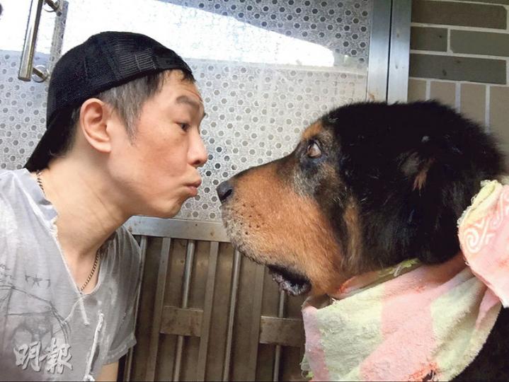 黃貫中上載與藏獒犬「酋長」的親密合照。(微博圖片)「酋長」遞手給黃貫中。(微博圖片) 黃貫中上載與藏獒犬「酋長」的親密合照。(微博圖片)「酋長」遞手給黃貫中。(微博圖片)