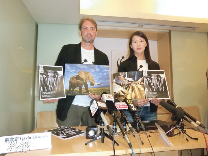 世界自然基金會香港分會高級主任(野生動物罪行)勞敏惠(右),促請政府立法全面禁止象牙貿易及加工。圖左為世界自然基金會香港分會環境保護總監魏啟宏。(黃俊鋒攝) 世界自然基金會香港分會高級主任(野生動物罪行)勞敏惠(右),促請政府立法全面禁止象牙貿易及加工。圖左為世界自然基金會香港分會環境保護總監魏啟宏。(黃俊鋒攝)