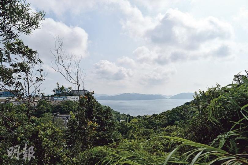 (蘇智鑫攝)鴨仔山山友,(左起)羅伯、玉顏婆婆、督導主任柯姑娘、社工Willy,一起坐在山友建成的長櫈上合照。(蘇智鑫攝)玉顏婆婆87歲,在山上卻健步如飛,不過她說,老人家上山時走泥路,會對膝蓋比較好,所以石梯旁常讓人走出一條路來。(蘇智鑫攝)鴨仔山山友彷彿有神奇創造力,這邊廂自製避雨亭被清拆,那邊廂又馬上再建一個,只要山友有有需要,什麼東西都可以在山上出現。(蘇智鑫攝)政府一邊清拆山友建設的避雨亭,一邊加入依「標準」而建的鷹棚,卻因為頂蓋太高,未能起遮風擋雨之效。(蘇智鑫攝)由山友陳伯等人建成 (蘇智鑫攝)鴨仔山山友,(左起)羅伯、玉顏婆婆、督導主任柯姑娘、社工Willy,一起坐在山友建成的長櫈上合照。(蘇智鑫攝)玉顏婆婆87歲,在山上卻健步如飛,不過她說,老人家上山時走泥路,會對膝蓋比較好,所以石梯旁常讓人走出一條路來。(蘇智鑫攝)鴨仔山山友彷彿有神奇創造力,這邊廂自製避雨亭被清拆,那邊廂又馬上再建一個,只要山友有有需要,什麼東西都可以在山上出現。(蘇智鑫攝)政府一邊清拆山友建設的避雨亭,一邊加入依「標準」而建的鷹棚,卻因為頂蓋太高,未能起遮風擋雨之效。(蘇智鑫攝)由山友陳伯等人建成