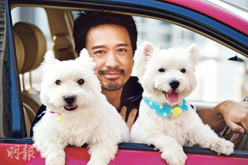郭偉亮的兩隻愛犬Toro(左)及Nana( 右)喜歡在車窗探頭出外看風景。(攝影:梁迺楠)亞珍是後來加入的狗成員,難免被其他兩隻狗排擠,所以Eric特別疼惜牠。亞珍打過不少硬仗,意志力堅強,可惜上周已魂歸天國。(攝影:梁迺楠)12歲的Toro(左)跟10歲的Nana(右) 同樣是白威嗲利。(攝影:梁迺楠)好奇的Toro探頭出窗,從倒後鏡可看到「爸爸」Eric小心扶着牠。Toro是「媽媽」Grace的心肝寶貝,網上的相片都是以牠居多。(攝影:梁迺楠)Eric與老婆葉佩雯、三隻愛犬「一家五口」溫馨合 郭偉亮的兩隻愛犬Toro(左)及Nana( 右)喜歡在車窗探頭出外看風景。(攝影:梁迺楠)亞珍是後來加入的狗成員,難免被其他兩隻狗排擠,所以Eric特別疼惜牠。亞珍打過不少硬仗,意志力堅強,可惜上周已魂歸天國。(攝影:梁迺楠)12歲的Toro(左)跟10歲的Nana(右) 同樣是白威嗲利。(攝影:梁迺楠)好奇的Toro探頭出窗,從倒後鏡可看到「爸爸」Eric小心扶着牠。Toro是「媽媽」Grace的心肝寶貝,網上的相片都是以牠居多。(攝影:梁迺楠)Eric與老婆葉佩雯、三隻愛犬「一家五口」溫馨合