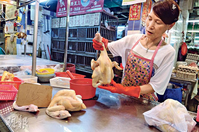 周日(27日)便是中秋節,九龍城雞販玲姐表示,現時本地活雞零售價每斤65元,預料中秋時會加價。(劉焌陶攝) 周日(27日)便是中秋節,九龍城雞販玲姐表示,現時本地活雞零售價每斤65元,預料中秋時會加價。(劉焌陶攝)