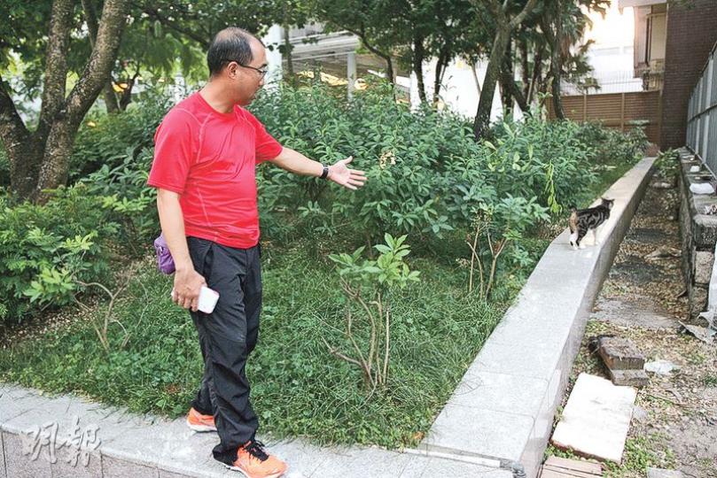 愛貓的黃先生是大埔街坊,前晚得悉有貓義工好友在寶湖里發現懷疑虐貓事件,但反而涉刑毁被捕,隨即趕往協助。(伍浦鋒攝) 愛貓的黃先生是大埔街坊,前晚得悉有貓義工好友在寶湖里發現懷疑虐貓事件,但反而涉刑毁被捕,隨即趕往協助。(伍浦鋒攝)