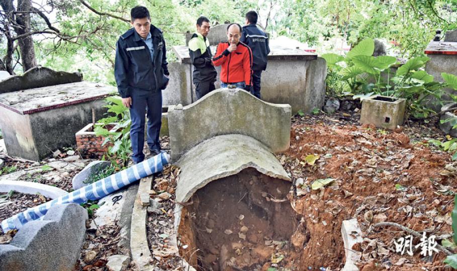 有逾千個漁民墳墓的大埔元洲仔漁民葬區,昨日發現最少12個墳頭疑被盜墓者掘爛,有棺木被撬開。部分原居民按水上人習俗放入金器陪葬,但需等待親友擇吉日開棺,才能確定損失。(林智傑攝)大埔元洲仔美援新村村民蘇先生的亡弟墳頭被掘開,他氣憤地說﹕「多數老人家先有陪葬品,呢條友(盜墓者)盲㗎!咁後生都無金器啦!」他說要花數萬元為亡弟重建墳墓。(林智傑攝)有先人的山墳被完全挖開,棺木也被打開。(林智傑攝)蘇太亡夫的墓亦被破壞,她說墓內有兩隻玉戒指和小量金器作陪葬品,相信已被盜,但她擔心再開棺會騷擾先人,暫未敢開 有逾千個漁民墳墓的大埔元洲仔漁民葬區,昨日發現最少12個墳頭疑被盜墓者掘爛,有棺木被撬開。部分原居民按水上人習俗放入金器陪葬,但需等待親友擇吉日開棺,才能確定損失。(林智傑攝)大埔元洲仔美援新村村民蘇先生的亡弟墳頭被掘開,他氣憤地說﹕「多數老人家先有陪葬品,呢條友(盜墓者)盲㗎!咁後生都無金器啦!」他說要花數萬元為亡弟重建墳墓。(林智傑攝)有先人的山墳被完全挖開,棺木也被打開。(林智傑攝)蘇太亡夫的墓亦被破壞,她說墓內有兩隻玉戒指和小量金器作陪葬品,相信已被盜,但她擔心再開棺會騷擾先人,暫未敢開