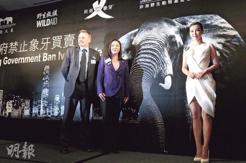 保育組織WildAid的行政總裁Peter Knights(左)專程由美國來港出席象牙調查報告發布會,除民建聯葛珮帆(中)外,同場還有擔任組織大使的影星李冰冰(右)。(李紹昌攝) 保育組織WildAid的行政總裁Peter Knights(左)專程由美國來港出席象牙調查報告發布會,除民建聯葛珮帆(中)外,同場還有擔任組織大使的影星李冰冰(右)。(李紹昌攝)