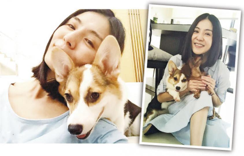 楊采妮趁不用開工,跟家中兩愛犬享受家庭樂。(微博圖片) 楊采妮趁不用開工,跟家中兩愛犬享受家庭樂。(微博圖片)
