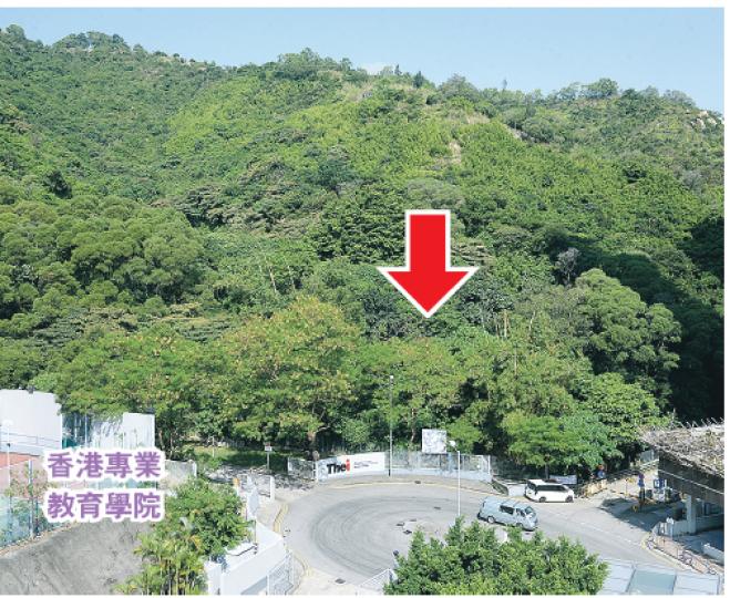 繼逾年半前大埔白石角官地流標後,上周五截標的青衣細山路住宅地(箭嘴位置)亦出現流標。地政總署發言人稱,由於地皮入標金額未達底價,故不接納任何一份標書。(劉焌陶攝) 繼逾年半前大埔白石角官地流標後,上周五截標的青衣細山路住宅地(箭嘴位置)亦出現流標。地政總署發言人稱,由於地皮入標金額未達底價,故不接納任何一份標書。(劉焌陶攝)