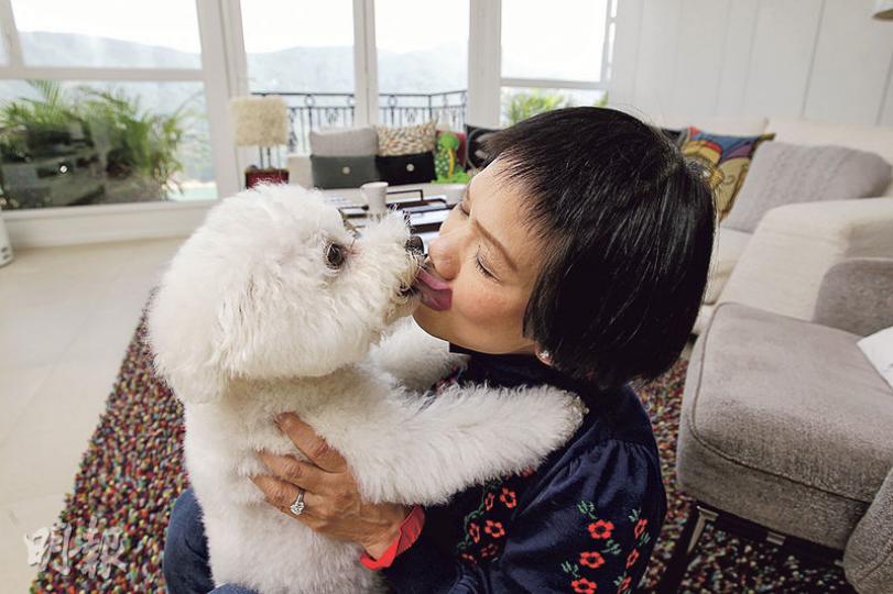 麥瑞琼視愛犬波波如女兒般疼惜,她笑說波波仍是小朋友,十分頑皮,興奮時常大聲吠叫,附近鄰居都知她養了隻「聲如洪鐘」的狗仔。(郭慶輝攝) 麥瑞琼視愛犬波波如女兒般疼惜,她笑說波波仍是小朋友,十分頑皮,興奮時常大聲吠叫,附近鄰居都知她養了隻「聲如洪鐘」的狗仔。(郭慶輝攝)