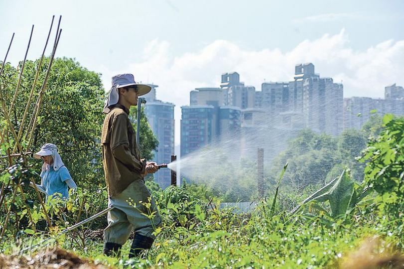 阿手（前）認為香港對保護土地的意識很低，指「鄉土學社」初時租用此地時，因為農地上有太多沙石和垃圾，結果花了很多時間開墾。（黃志東攝）