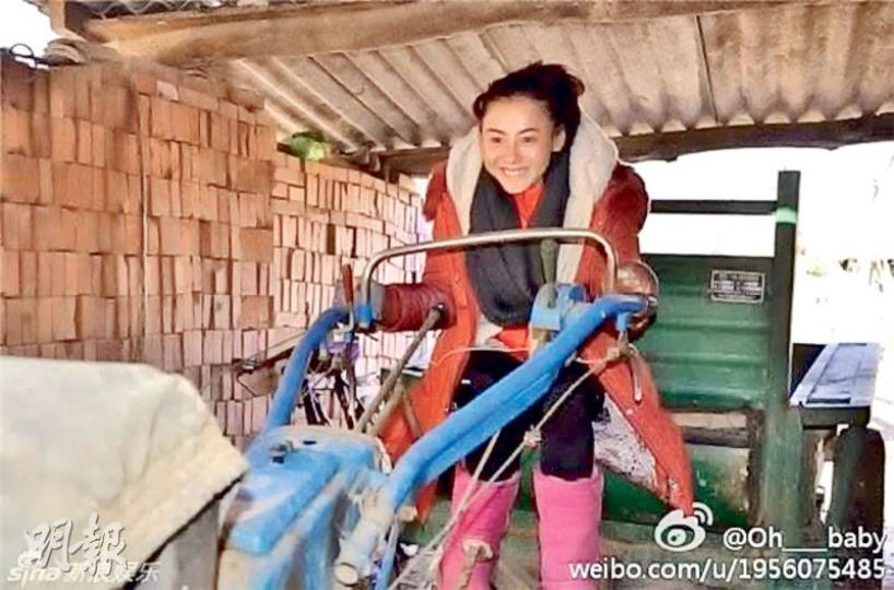 張栢芝未忘記兩年前曾到洛陽探訪的一班孤兒，日前透過慈善組織將200件羽絨送給這班小朋友。（微博圖片）