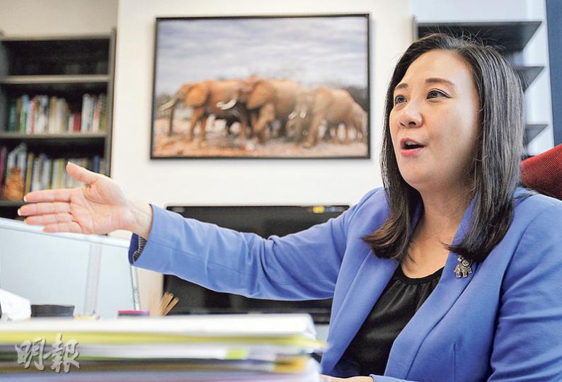 外間有猜疑，指葛珮帆落選後或會加入政府，但她說「絕對沒有這回事」，又指政府從沒向她招手，不知何解會有此說法。她指自己的目標是繼續參選。（郭慶輝攝）繼前晚網民發起到鍾樹根位於柴灣漁灣邨的辦事處「慶祝」其落選，昨晚再有市民響應網上號召，有近百人到馬鞍山頌安區葛珮帆的辦事處「熱烈慶賀」她落選，並拉紙炮慶祝。葛珮帆昨日在接受訪問時說，「贏了當然開心，要熱烈慶祝是人之常情」，但認為一場文明的選舉應該互相尊重，否則贏了也不光彩。她認為當選者有責任勸告支持者不要做出侮辱對方的行為，「如果議員唔出聲，你就是縱容