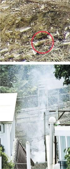 (賴俊傑攝) (賴俊傑攝)
