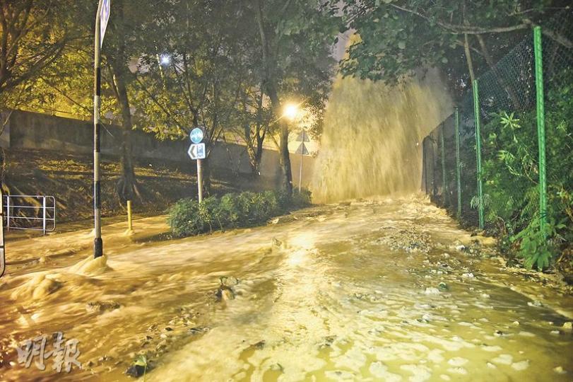 (蔡方山攝)(蔡方山攝) (蔡方山攝)(蔡方山攝)
