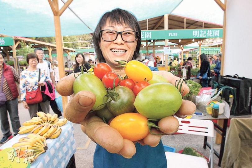 不少農夫在本地漁農美食迎春嘉年華出售彩色車厘茄,蘭姑農場負責人陳小姐(圖)笑言,各款車厘茄名字特別,青色車厘茄名為「綠寶石」,橙黃色車厘茄為「金童」,紅色車厘茄則為「紅珍珠」。(李紹昌攝)由退休人士合辦的本地農場「喜樂園地」第二年參加本地漁農美食迎春嘉年華,推廣健康有機農作物,包括彩色西蘭花。(李紹昌攝) 不少農夫在本地漁農美食迎春嘉年華出售彩色車厘茄,蘭姑農場負責人陳小姐(圖)笑言,各款車厘茄名字特別,青色車厘茄名為「綠寶石」,橙黃色車厘茄為「金童」,紅色車厘茄則為「紅珍珠」。(李紹昌攝)由退休人士合辦的本地農場「喜樂園地」第二年參加本地漁農美食迎春嘉年華,推廣健康有機農作物,包括彩色西蘭花。(李紹昌攝)