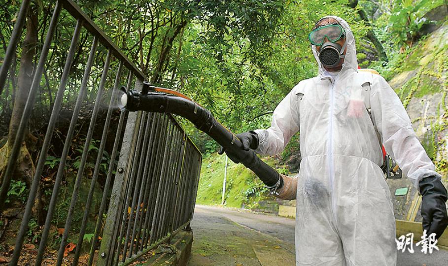 中區一個月內出現3宗本地登革熱確診個案，病毒同屬第三型。食環署人員昨日於半山干德道與香雪道交界滅蚊。（鄧宗弘攝）
